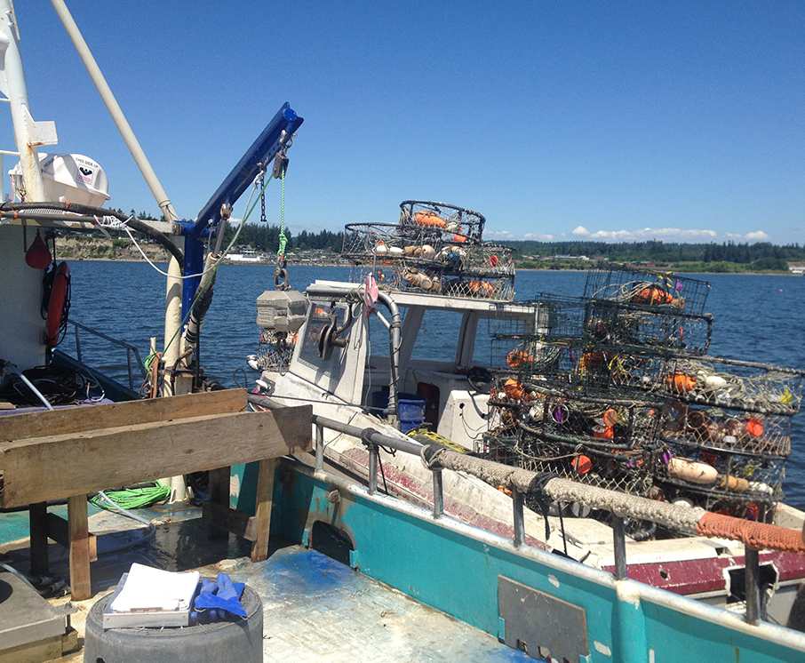 No Price Agreement in Oregon-Supervised Crab Negotiations